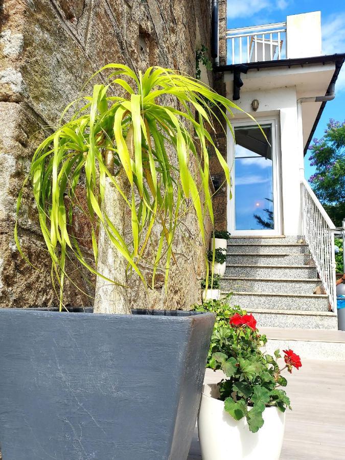 Villa Tana, Casa Compartida ポンテベドラ エクステリア 写真